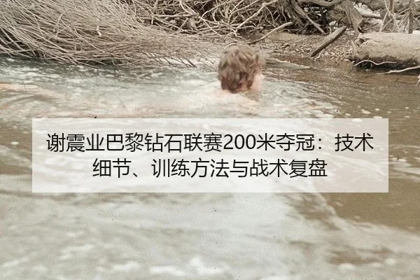 谢震业巴黎钻石联赛200米夺冠：技术细节、训练方法与战术复盘